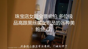 珠宝店女厕全景偷拍 多位极品高跟黑丝美女职员的各种美鲍鱼 (2)