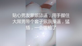 皮皮虾网红纯欲女神【在下小羊】人前傲女，人后母狗，被金主包养定制私拍各种裸舞紫薇视频