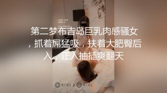 【约炮大神网约D罩杯良家少妇】一镜到底视角拍摄，叫声表情很销魂很到位