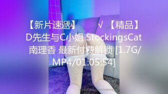 【新片速遞】  ❤️√ 【精品】D先生与C小姐 StockingsCat 南理香 最新付费解锁 [1.7G/MP4/01:05:54]