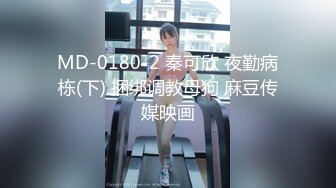 pcolle电车痴汉片商神回流出合集【17V】 (10)