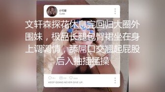 文轩森探花休息完回归大圈外围妹，极品长腿包臀裙坐在身上调调情，舔屌口交翘起屁股后入抽插猛操