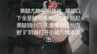 【超顶❤️推特大神】黑椒盖饭✨ 调教极品黑丝爆乳母狗 尽情蹂躏肏弄浪穴 痛并快乐呻吟 淫荡性玩物榨精肉便器