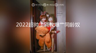 MDX-0239-02禁断不伦情-张芸熙