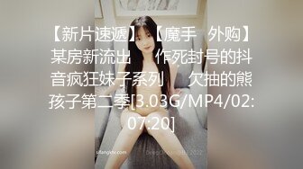 美乳少妇激情后入