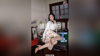 极品风骚少妇1