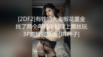 14285_エアポートの女 田口ゆかり