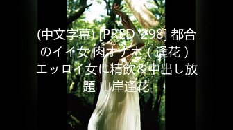    [中文字幕] IPZZ-244 對最近得意忘形的朋友女友讓她喝下酒和安眠藥