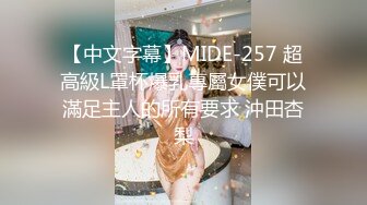 【中文字幕】MIDE-257 超高級L罩杯爆乳專屬女僕可以滿足主人的所有要求 沖田杏梨