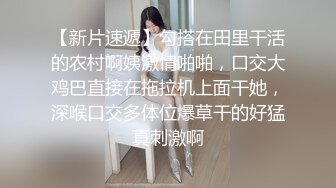 素人模特私拍，清晰对话搞笑淫荡，摄影大咖PUA约拍二位当婊子还要立牌坊的妹子，成功一位加钱加尺度全裸还能咸猪手2