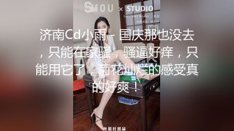 ⚫️究极反差骚婊！推特极品女神气质御姐【粉红色海豚】最新订阅，有钱人的性玩物无套啪啪捣白浆