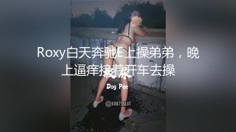 肏我的骚老婆并内射（从后面拍摄）