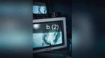 b (2)