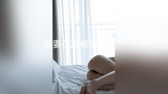 后入97蜂腰肥臀