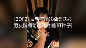 继续趁午休用仿真JJ插老婆