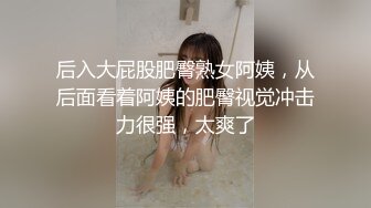 后入大屁股肥臀熟女阿姨，从后面看着阿姨的肥臀视觉冲击力很强，太爽了