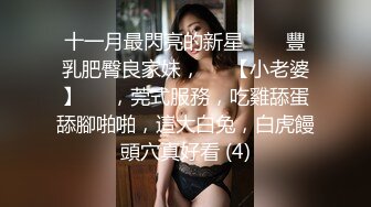 [高清中文字幕] SDNM-069完美人妻佐佐木明希的不倫溫泉之旅