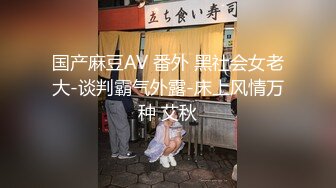 国产麻豆AV 番外 黑社会女老大-谈判霸气外露-床上风情万种 艾秋