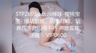 [2DF2]文轩探花深夜场约了个长相甜美肉肉大奶妹子，特写口交再到床上玩侧入抽插后入晃动奶子  [BT种子]