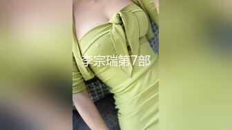 李宗瑞第7部