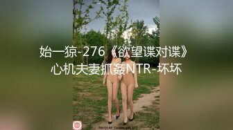 始一猄-276《欲望谍对谍》心机夫妻抓姦NTR-坏坏