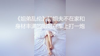 《姐弟乱伦》趁姐夫不在家和身材丰满的姐姐在车上打一炮再说