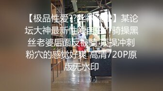 【性爱调教全网首发】推特调教系大神虐恋SM性奴母狗女奴 狂操捆绑 群P露出 羞耻凌辱 高清720P原版无水印 (2)