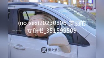 (no_sex)20230806_美丽的女秘书_351599509