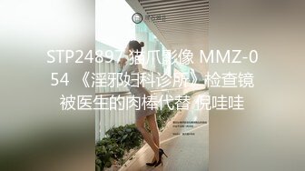 [德国] 再战女仆装少妇 （开头手势认证）