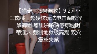  探花小哥某酒店约炮 5k一炮的广州大圈极品御姐沙发上各种姿势草到她嗨叫