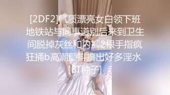 MDX-0238-01_時間停止器_痴女空姐的逆襲官网-寻小小