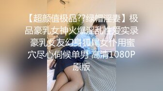 《极品反差✿淫妻泄密》推特火爆淫荡翘臀骚母狗【芬姬夏妓】不雅私拍全集，公园露出调教野战潮喷大号道具紫薇淫水泛滥