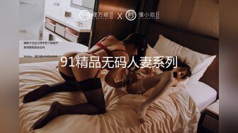 91精品无码人妻系列