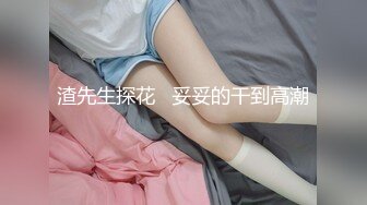 即含即插ＯＫ的绝对领域侍奉女仆