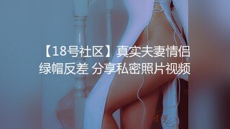 后入大屁股骚mm