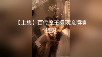 最新9月重磅订阅，不懂怜香惜玉，OF绅士大神【D先生】私拍④，凌辱M控受虐狂母狗，鞭打拳交深喉啪啪 (3)