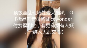 顶级淫乱现场性爱大轰趴！OF极品刺青母狗alicewonder付费福利②，有男有女有人妖，一群人大乱交 (2)