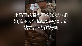 小马寻花深夜再约20岁小姐姐,迫不及待摸摸奶子,镜头前站立后入娇喘好听