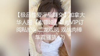 【极品性爱淫乱群交】加拿大华人圈『索菲娅』最新VIP订阅私拍④二龙戏凤 双战肉棒 车震骚货 (2)