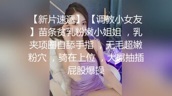 姊姊在这三天是我的专属女仆