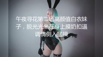 维拉舞团 艳舞女神 【琳达】SVIP-漏毛露点艳舞 合集（包括下海作品合集【80v】 (78)