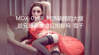 【MP4/HD】精東影業 JDXYX010 肉棒逼債狠操裸貸少婦 白沛瑤