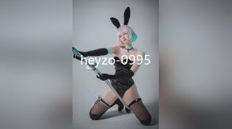 heyzo-0995