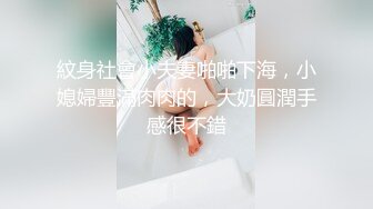 投喂高中小狼狗,楼道视讯调教脱光玩