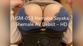 HSM-053 Hamabe Sayaka Shemale AV Debut – HD