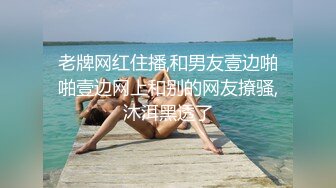 和骚妇的快乐时光