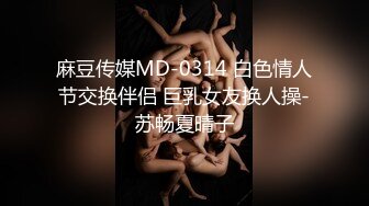 麻豆传媒MD-0314 白色情人节交换伴侣 巨乳女友换人操-苏畅夏晴子