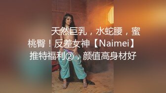 ⚫️⚫️天然巨乳，水蛇腰，蜜桃臀！反差女神【Naimei】推特福利②，颜值高身材好