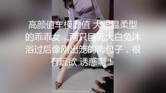 《极品CP❤️重磅泄密》厕拍达人景区女公厕全景偸拍后续5❤️各种高质量气质小姐姐方便~姿态百出~赏逼赏脸有极品