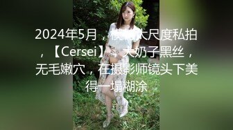 商场女厕全景偷拍黑裙高跟少妇的丰满大肥鲍